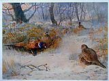 Archibald Thorburn Wall Art - Frost in the Coverts
